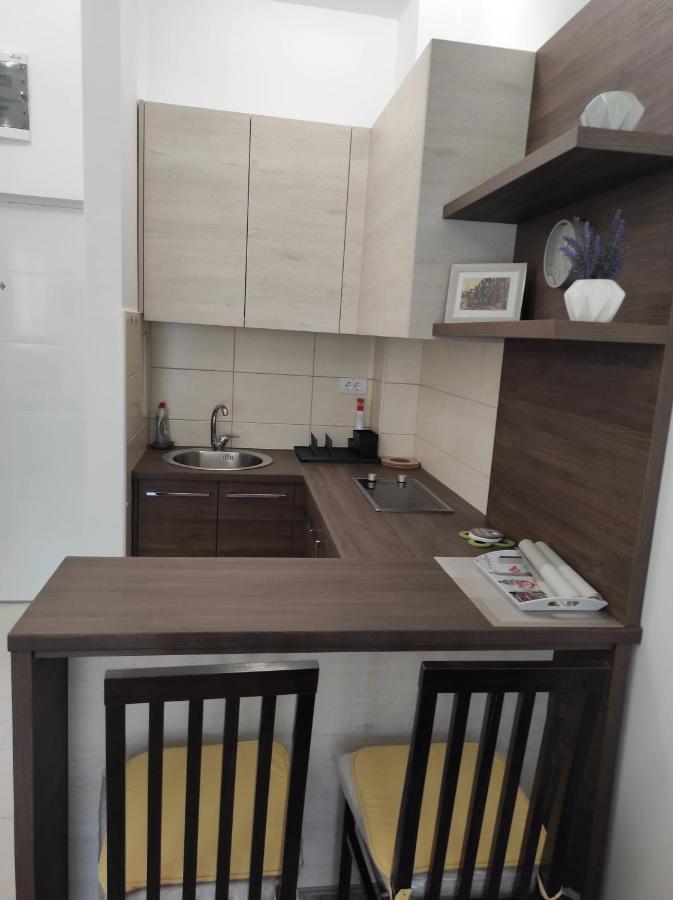 Studio Apartman Dani Banja Koviljača Exteriér fotografie