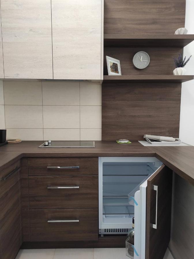 Studio Apartman Dani Banja Koviljača Exteriér fotografie