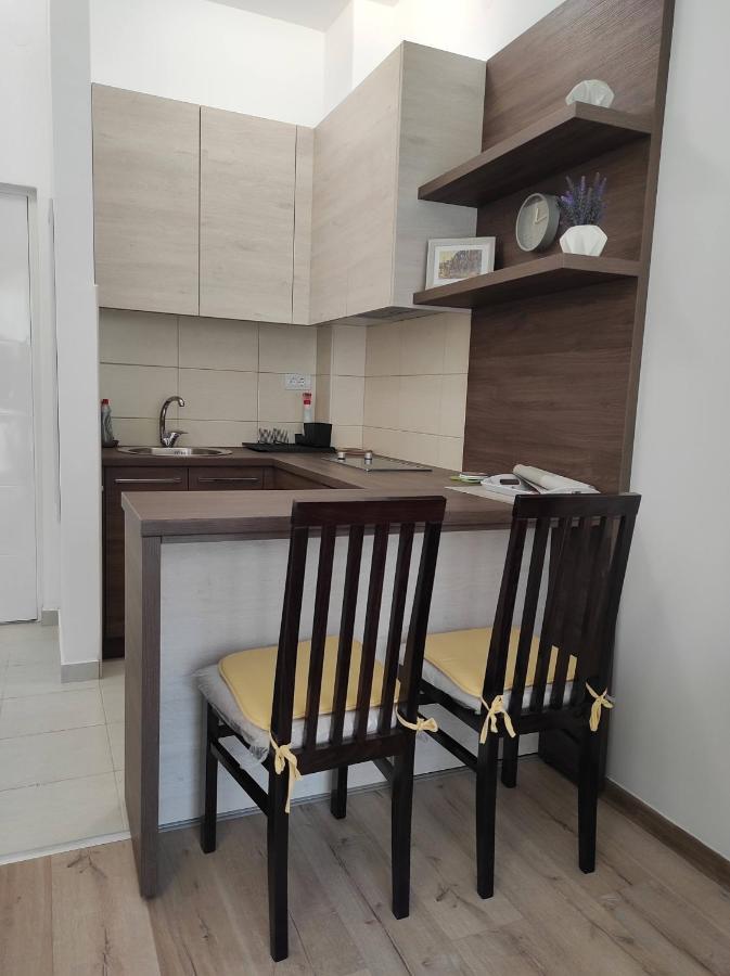Studio Apartman Dani Banja Koviljača Exteriér fotografie